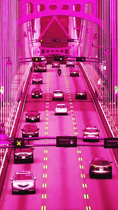 Pink Suspension Bridge